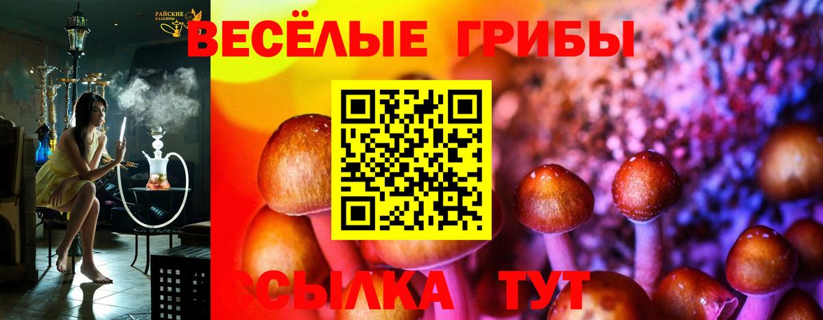 Галлюциногенные грибы мицелий Минусинск